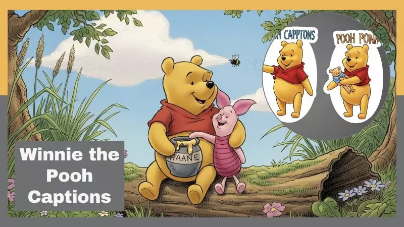 Winnie the Pooh Captions